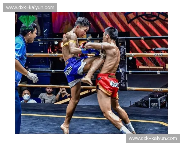 泰拳数据—用数据点亮每一次出拳的价值